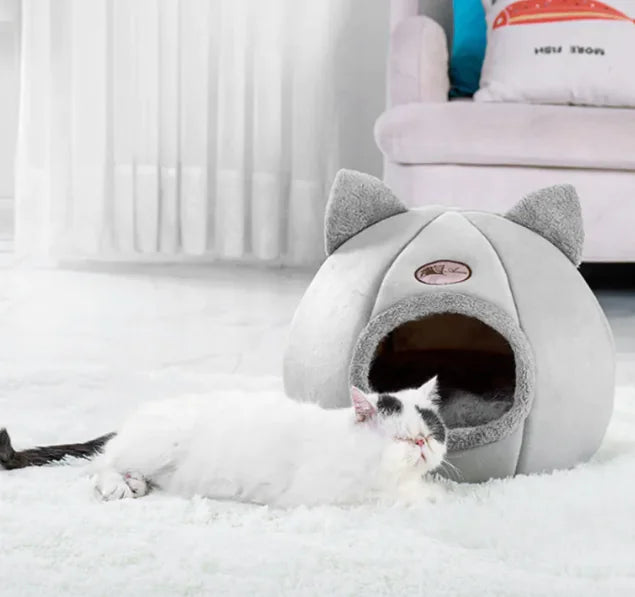 Mistpaw™ Winter Sofa Bed