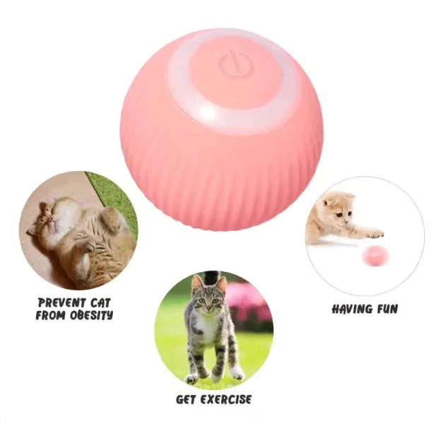 Mistpaw™ Electric Rolling Ball
