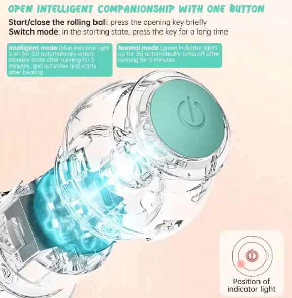 Mistpaw™ Electric Rolling Ball