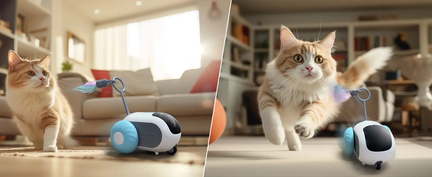 Mistpaw™ Smart Automatic Toy Car