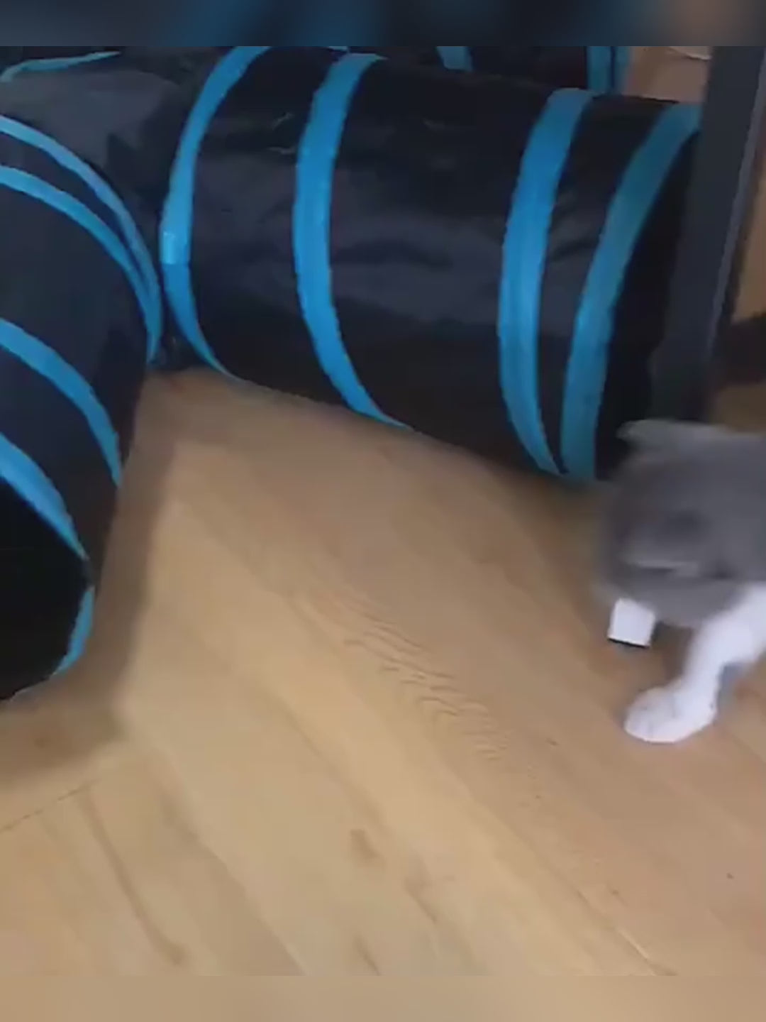 Mistpaw™ Cat Crinkle Tunnel Foldable Cat Toy