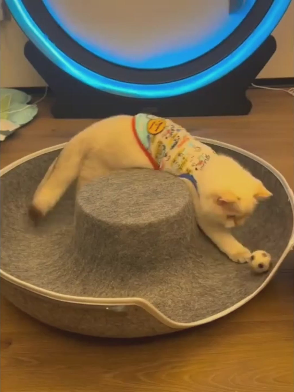 Mistpaw™ Wool Felt Cat Tunnel & Bed