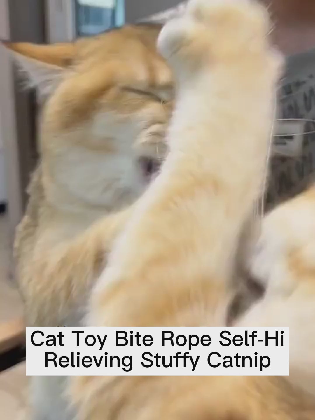 Mistpaw™ Silvervine-Infused Cotton Rope Chew Toy