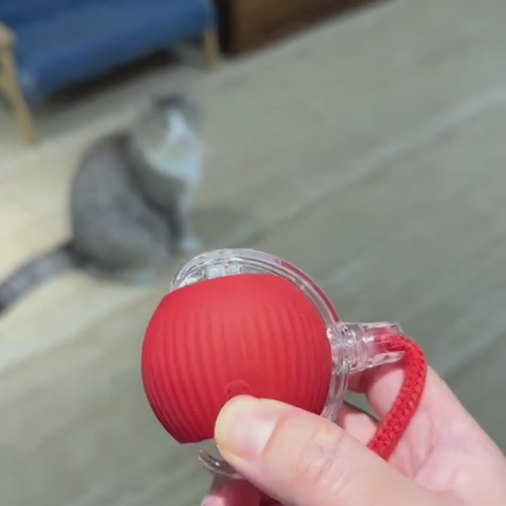 Mistpaw™ Interactive Cat Ball Toy