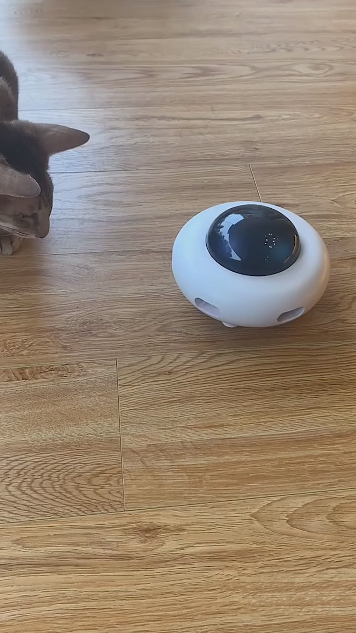 Mistpaw™ UFO Electric Cat Teaser