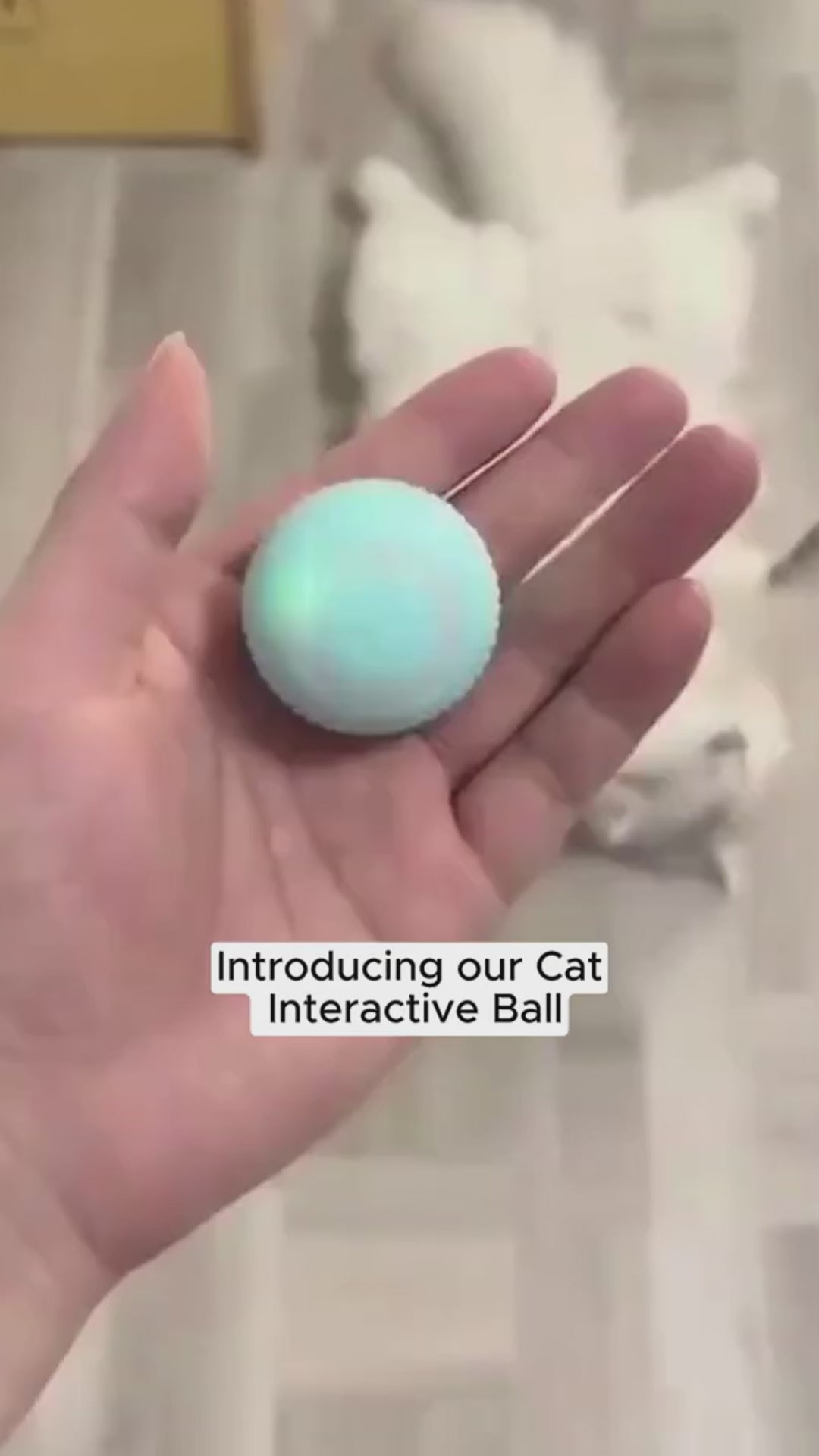 Mistpaw™ Electric Rolling Ball