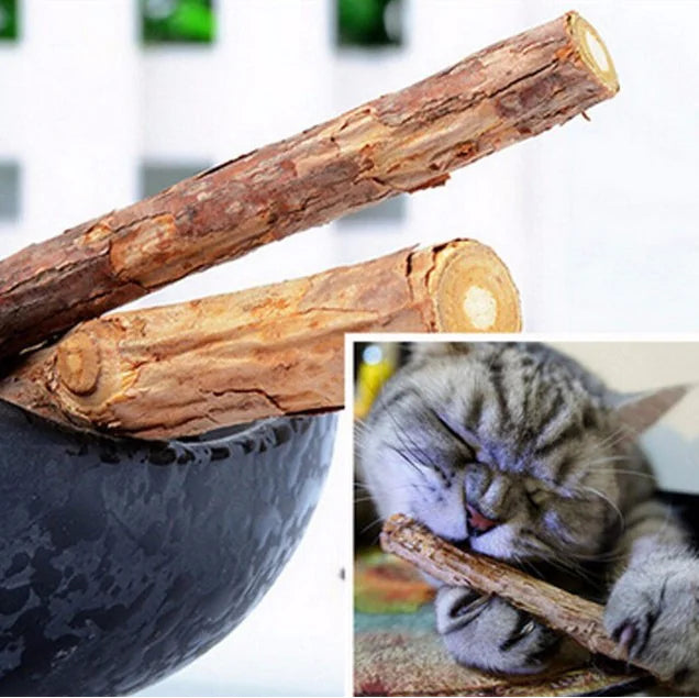 Mistpaw™ Natural Dental Fruit Chew Stick toy