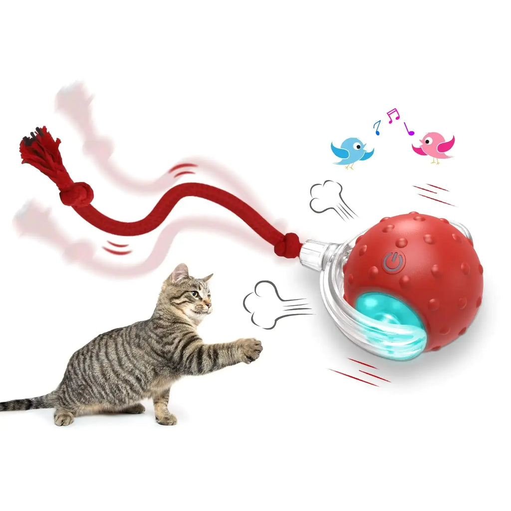 Mistpaw™ Interactive Cat Ball Toy